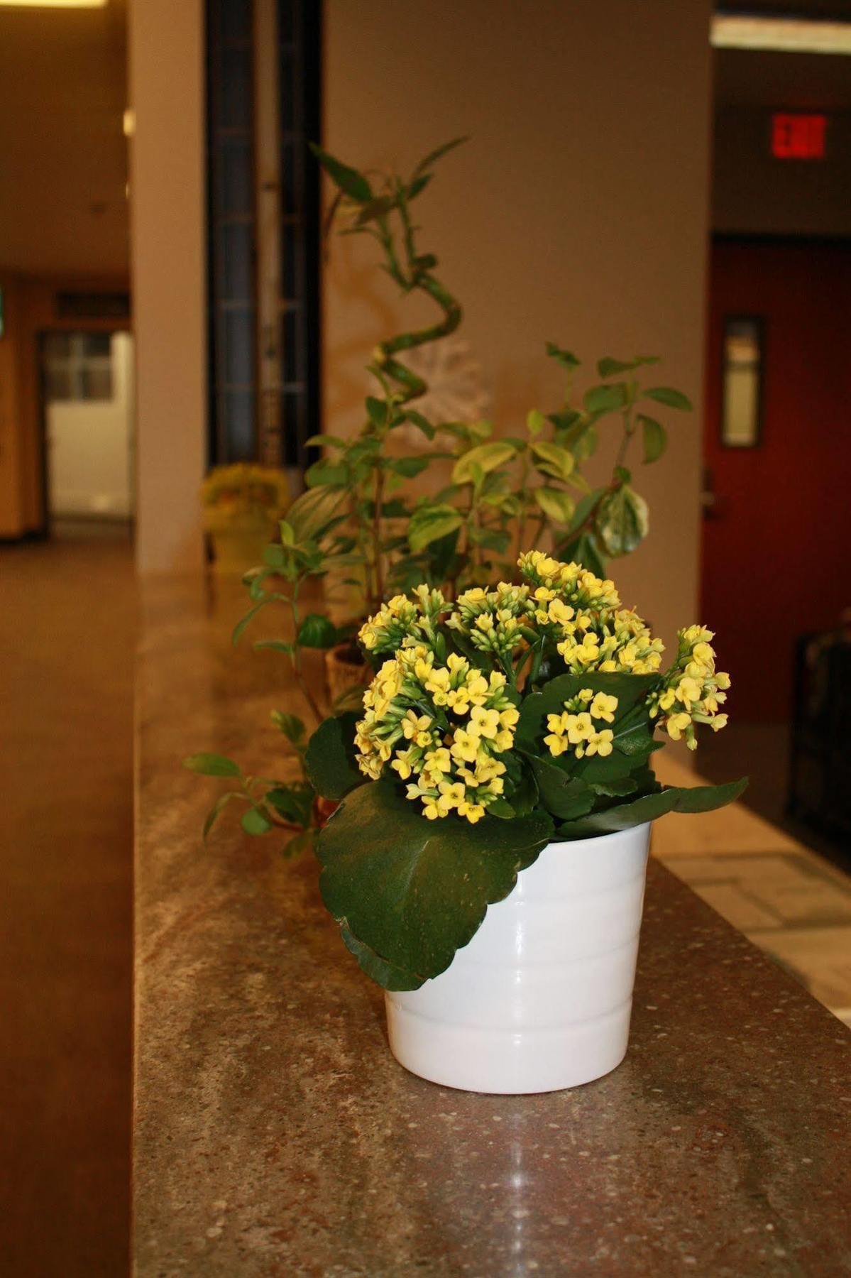 University Of Alberta - Hotel Edmonton Bagian luar foto